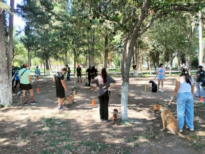 Ofrecen adiestramiento canino responsable en la Deportiva