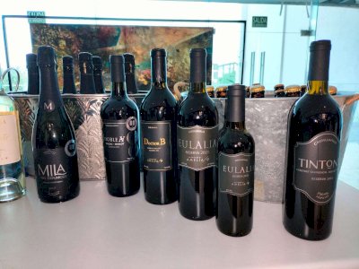 Compiten vinos de Chihuahua con los mejores del mundo