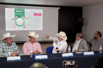 Buscan atender en menos de 24 horas casos de gusano barrenador