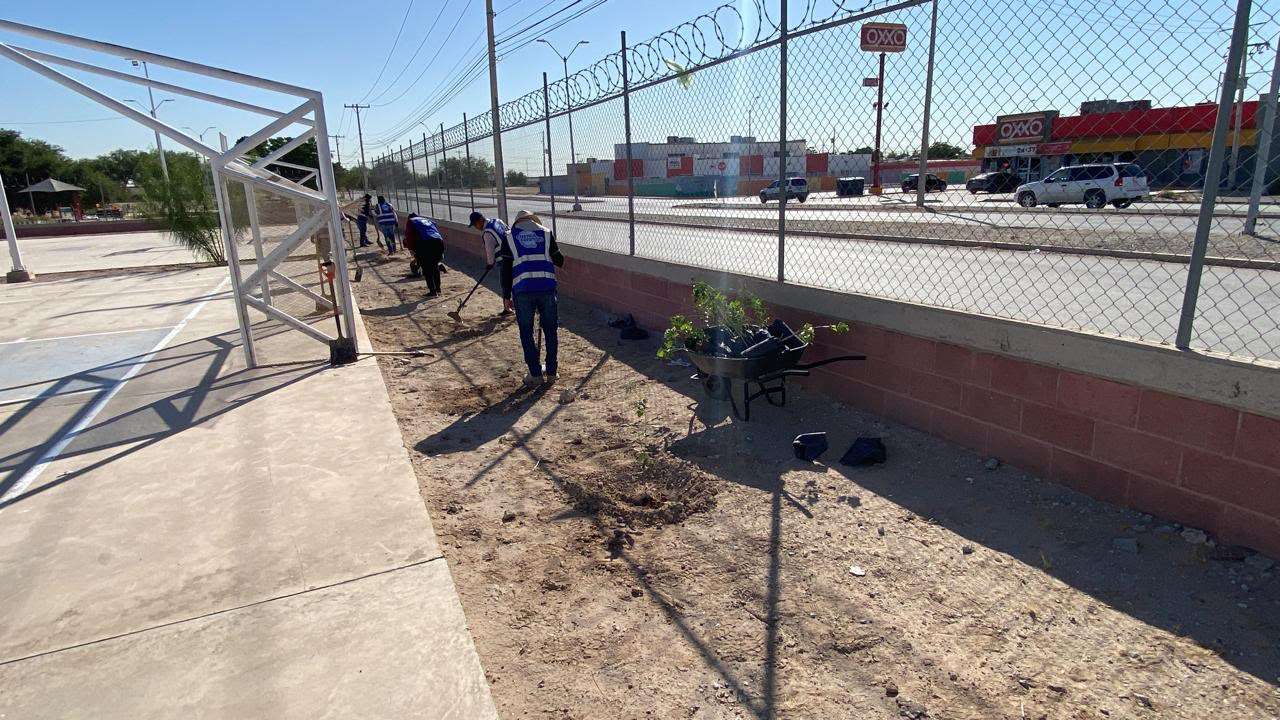 Reforestan centro comunitario en Riberas del Bravo