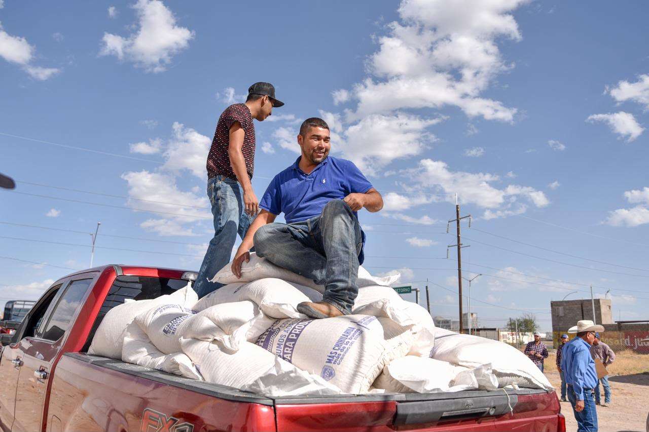Estado entrega 60 toneladas de maíz rolado a productores de Juárez y Guadalupe