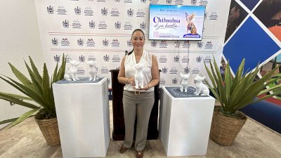 Convoca Municipio a artistas locales al Chihuahua Deja Huella
