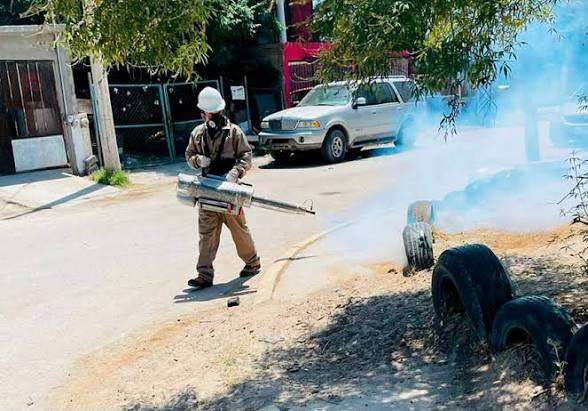 Intensifican fumigaciones contra garrapatas 