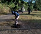 Impulsan en Meoqui reforestación y rehabilitación de Acceso Norte 