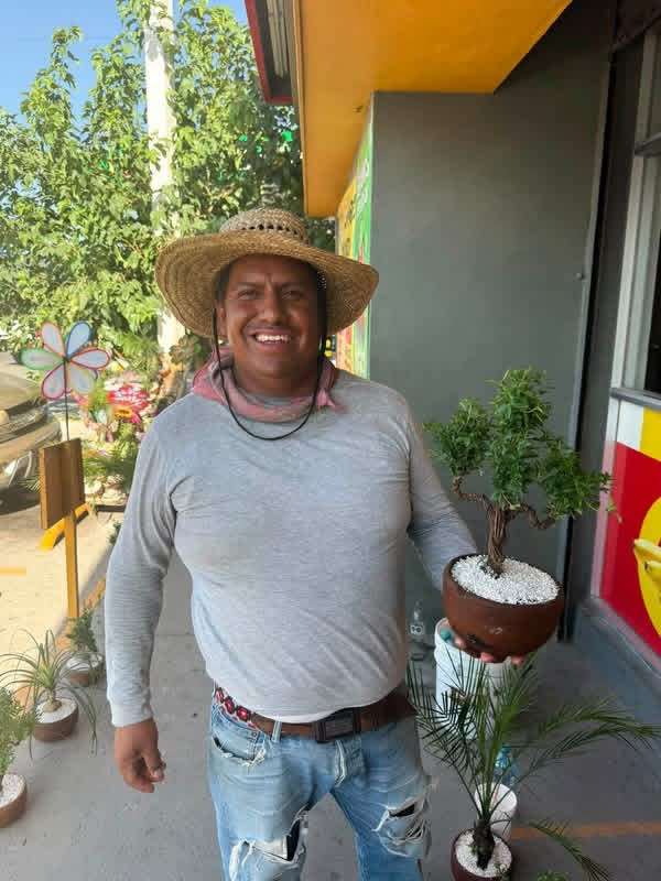 Busca Hugo salir adelante vendiendo plantas 
