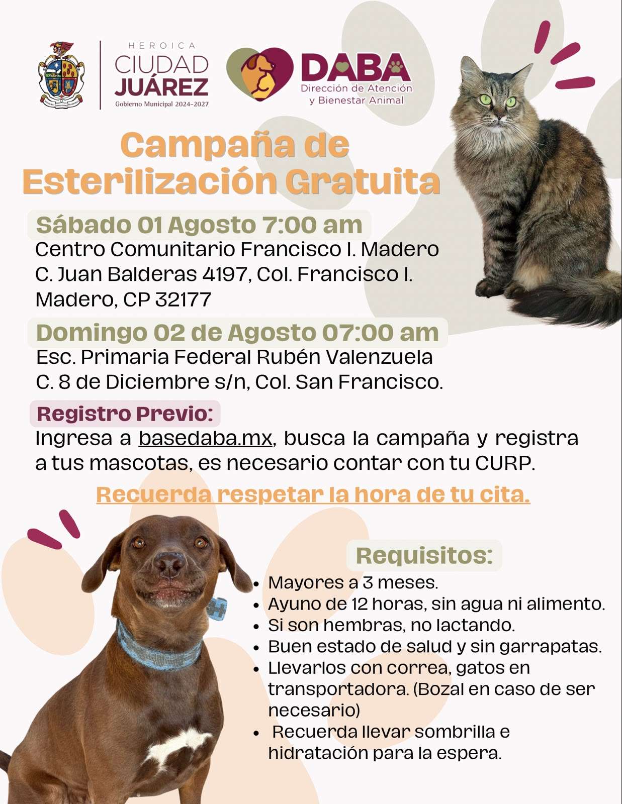Ofrecen hoy y mañana esterilización gratis en comunitario Francisco I. Mafero