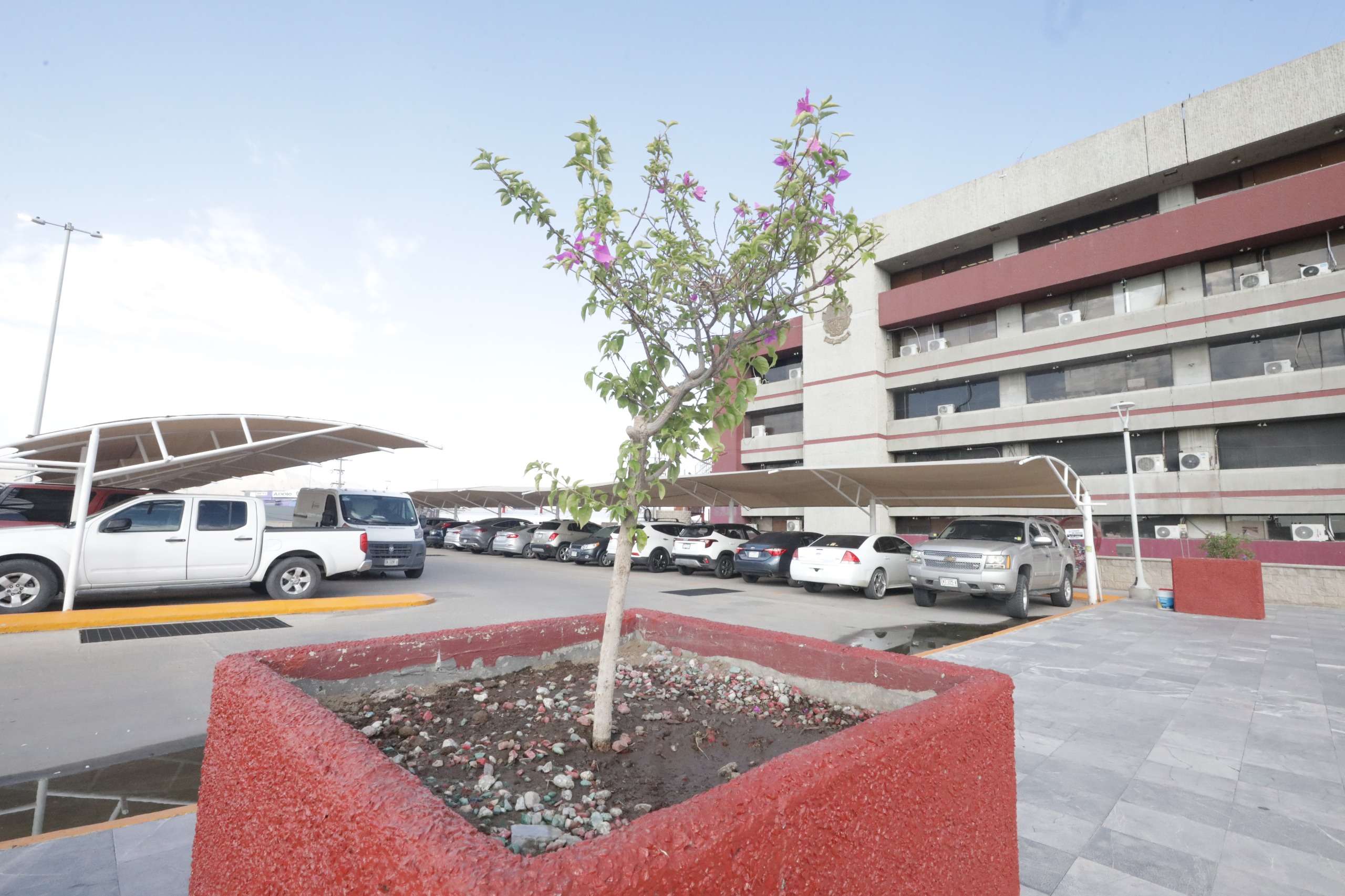 Promueve alcalde adoptar una jardinera en la presidencia Municipal