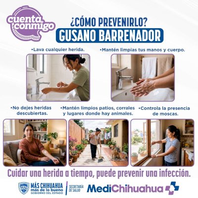 Llaman a reforzar medidas preventivas contra el Gusano Barrenador 