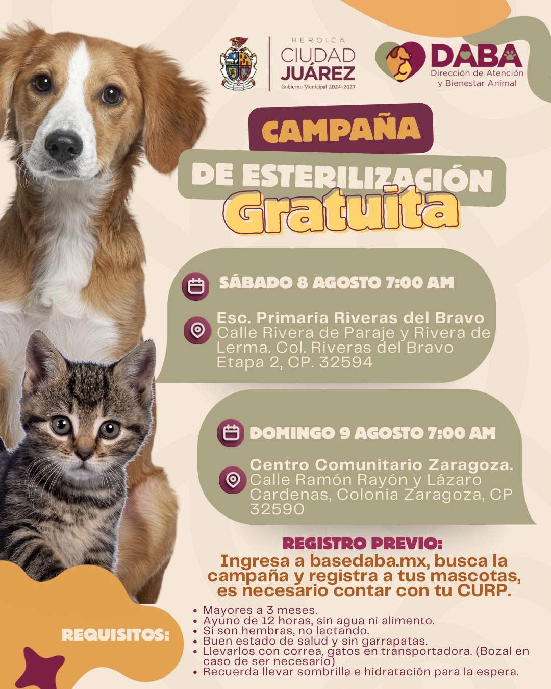 Esterilizarán a mascotas en Riberas del Bravo el fin de semana
