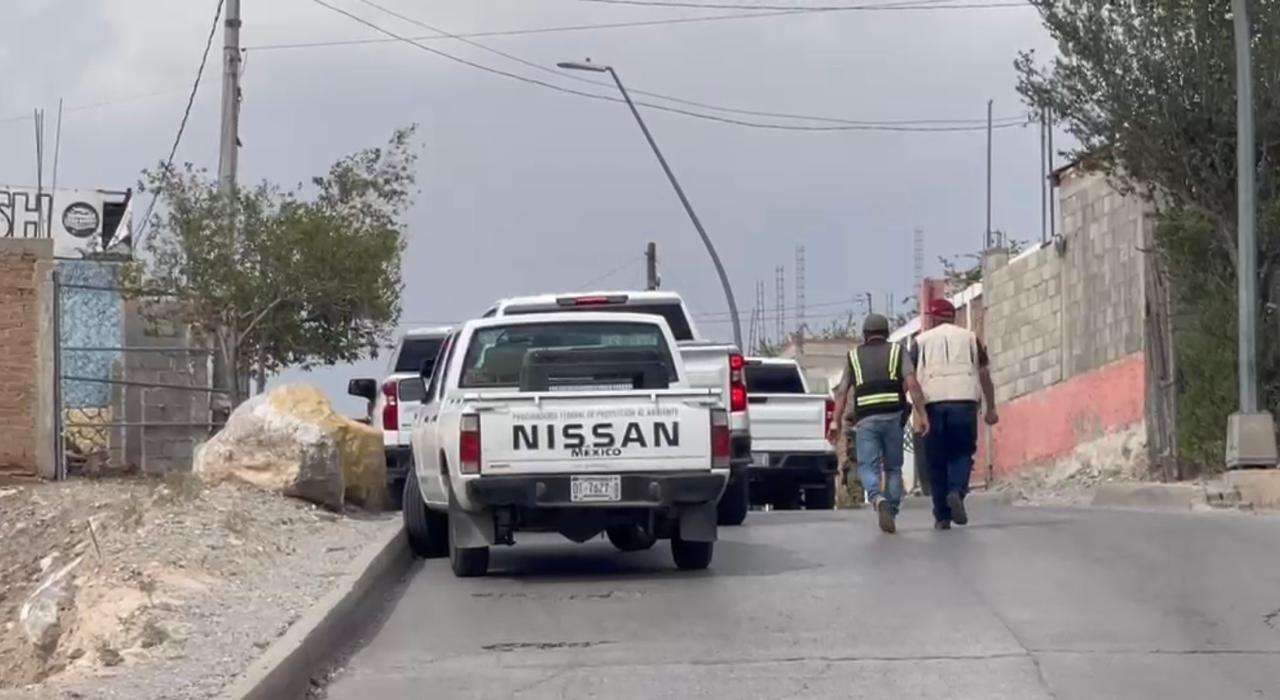 Aseguran animales exóticos en nuevo cateo a Car Wash de la Fronteriza 