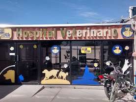 Abre UACJ servicios de hospital veterinario a la comunidad