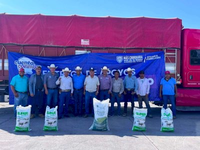 Entrega Diputado 380 toneladas de apoyo al campo de Jiménez 