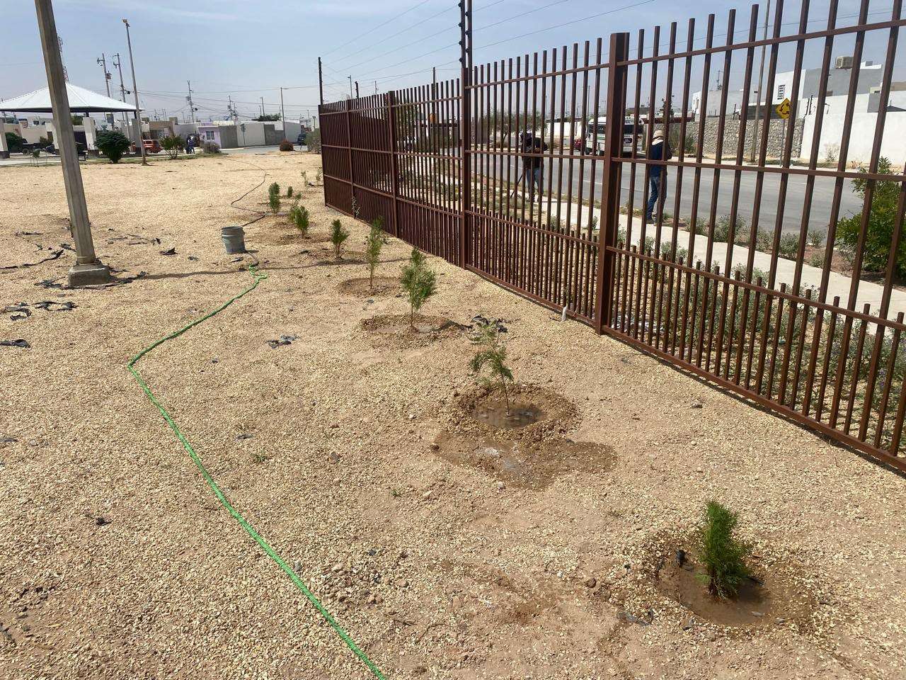 Limpian y reforestan parque en Cerradas del Álamo ll