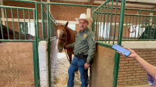 Refuerza Policía Montada vigilancia en zonas de difícil acceso