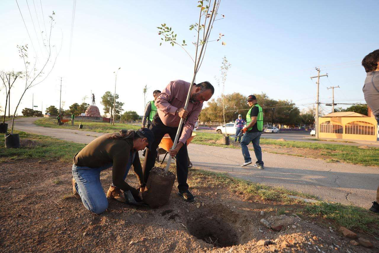 Se suma Juárez a Jornada Nacional de Reforestación; plantan 100 árboles