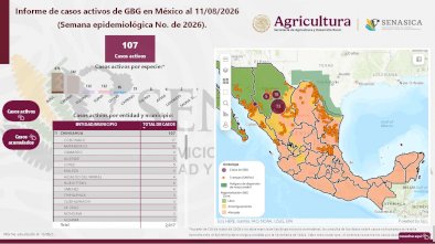 Suma Chihuahua 137 casos de GBG; Satevó entra a la lista
