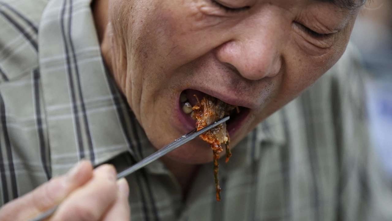 Vive Corea del Sur su última temporada de carne de perro 