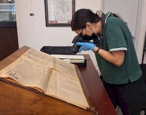 Buscan rescatar la historia cultural del sotol en Chihuahua