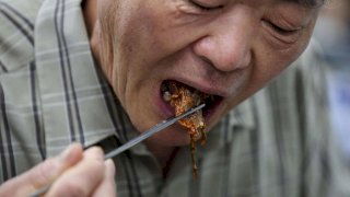 Vive Corea del Sur su última temporada de carne de perro 