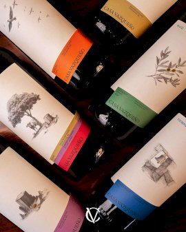 Consolida Chihuahua su industria vitivinícola con 51 viñedos