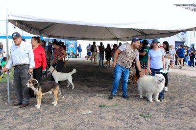 Fortalecen protección animal con jornada en Parque Fundadores 