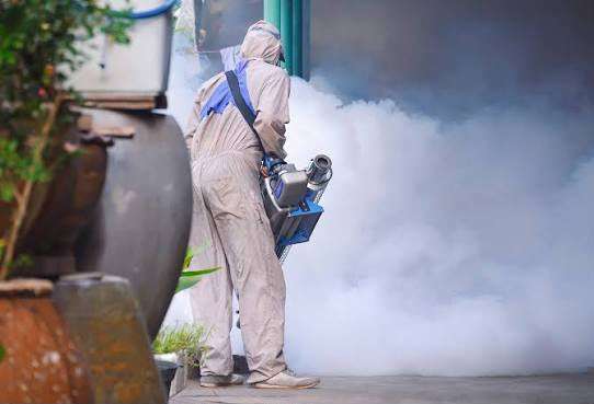Realiza Ecología más de 17 mil fumigaciones por plagas