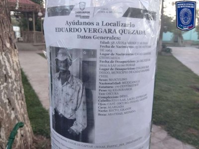 Despliegan operativo de búsqueda y pega de pesquisas en Zona Noroeste 