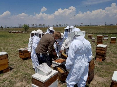 Es México el noveno exportador mundial de miel con 60 mil toneladas 
