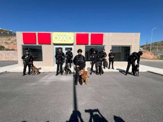 Exhibe grupo K9 capacidad y adiestramiento de 18 agentes caninos