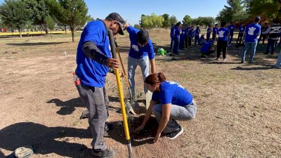 Realiza Acción Juvenil jornada de reforestación en la deportiva Sur 