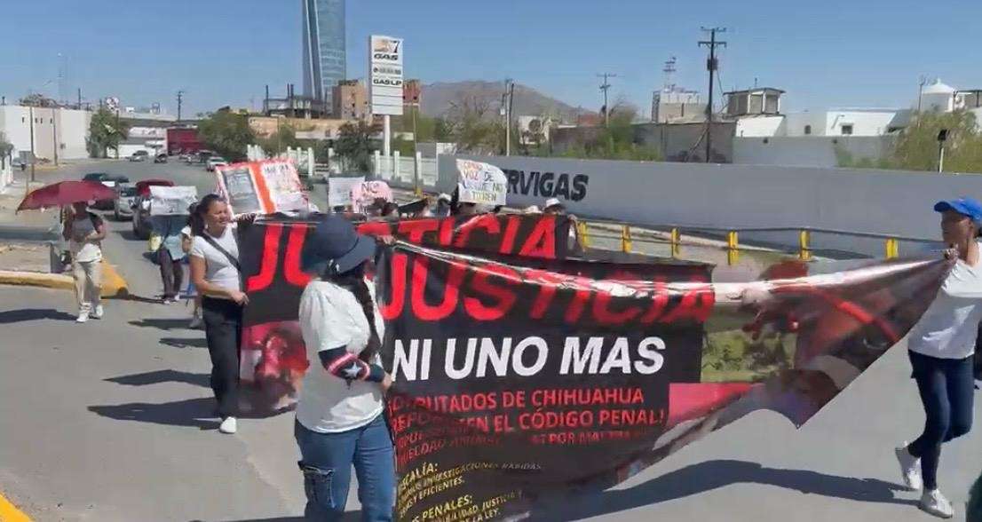 Animalistas marchan y exigen castigos severos por maltrato animal