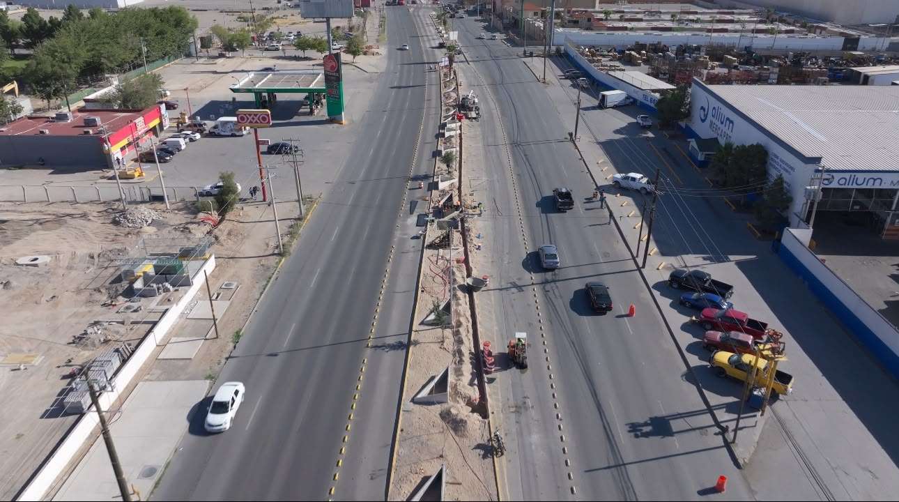 Avanzan 20% en rehabilitación del camellón de la Panamericana