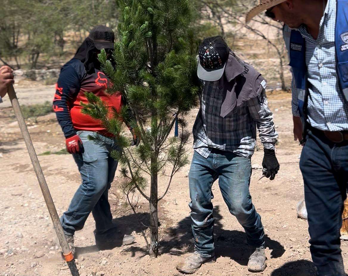 Preparan reforestación en estacionamiento del Parque a central 