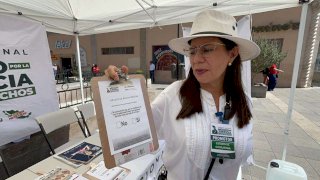 Impulsan jubilados consulta contra reducción de pensiones