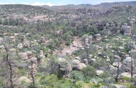 Se elevan temperaturas en Ojinaga a 40.3 grados centígrados 