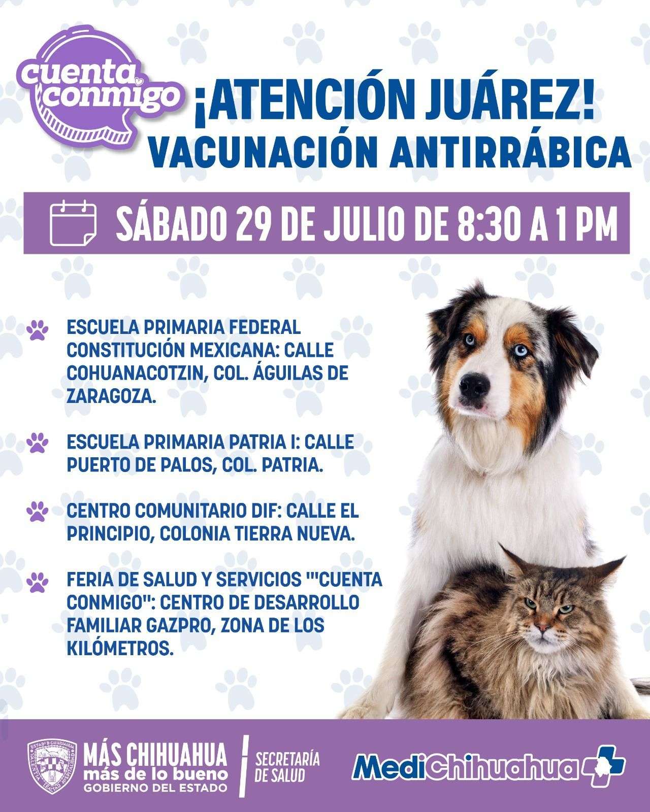 Invita Salud a Jornada de vacunación antirrábica este fin de semana 