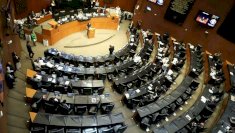 Define Morena en plenaria su propuesta para presidencia del Senado 