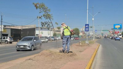 Retiran 246 toneladas de basura de las calles durante agosto