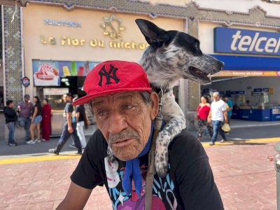 Es Amigo una muestra de compañia y fidelidad a toda prueba