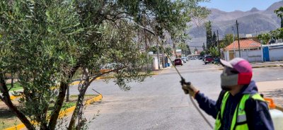 Fumigan a diario parques de Chihuahua para combatir plagas