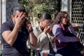 Registran 9.5 millones de líneas con terminación 1 
