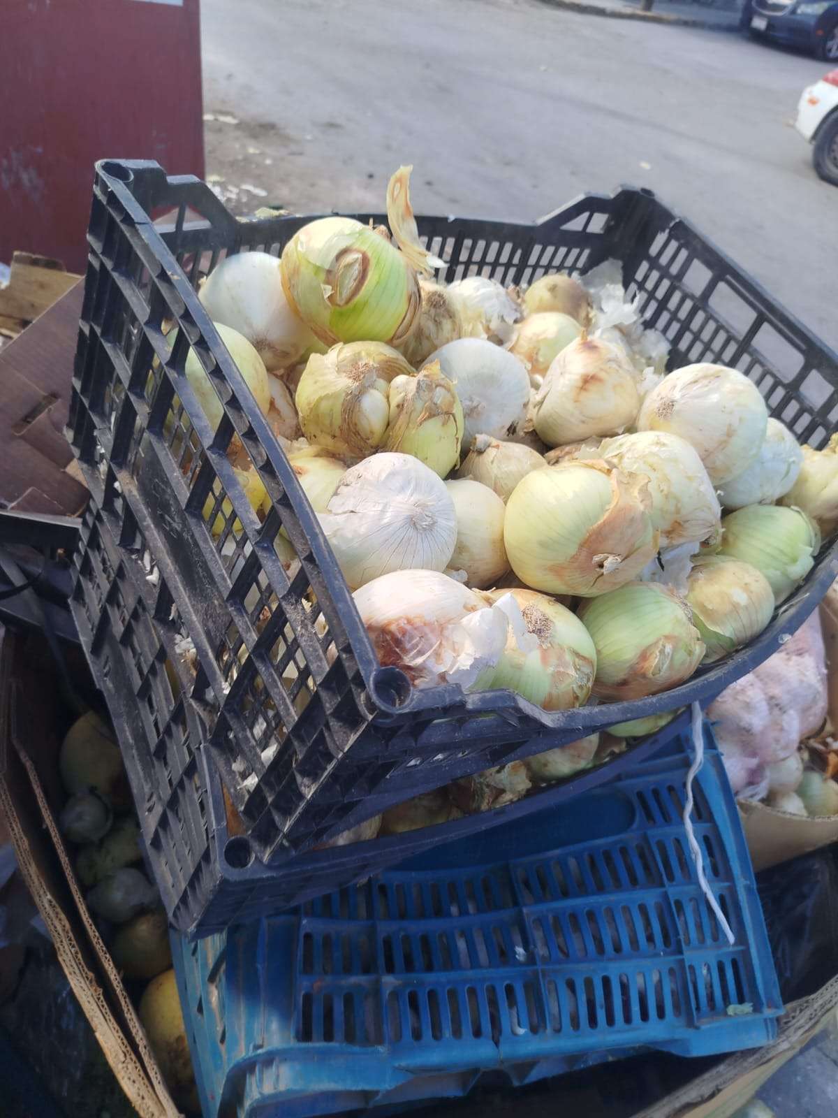 Refuerzan recorridos de inspección por basura en comercios de la Zona Centro