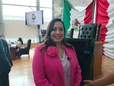 Prevé Congreso elevar sanciones por delitos y conductas viales