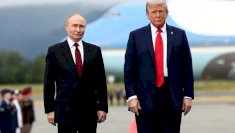 Pide Trump a Putin poner fin a la guerra en Ucrania