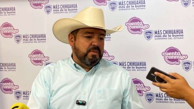 Prevé Mauro Parada reapertura de exportación ganadera para octubre