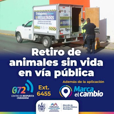 Ofrecen servicio de retiro de animales sin vida en vía pública