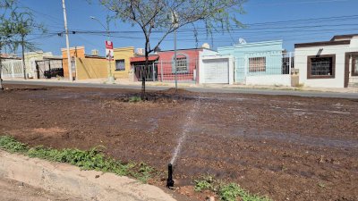 Instalan sistema de riego en camellón de la avenida Los Arcos 