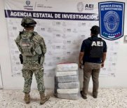 Asegura AEI marihuana y explosivo en la colonia Robinson