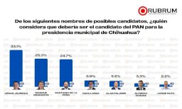 Lidera César Jáuregui encuestas internas del PAN 