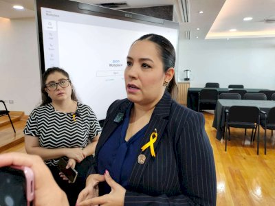 Trabajan diputados para legislar la electromovilidad en el centro